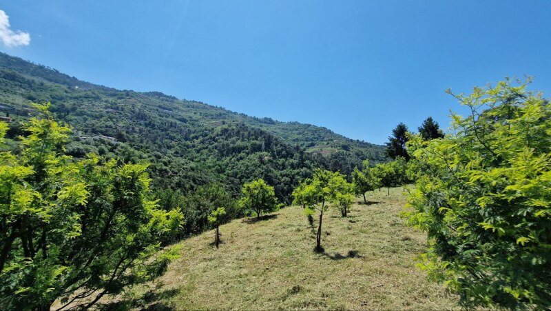 Rustic house with flat land in a dominant position in Soldano – just a few minutes from the sea. 17
