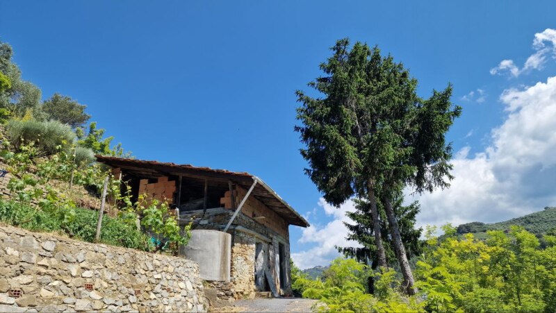 Rustic house with flat land in a dominant position in Soldano – just a few minutes from the sea. 13
