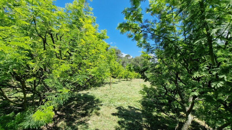 Rustic house with flat land in a dominant position in Soldano – just a few minutes from the sea. 18