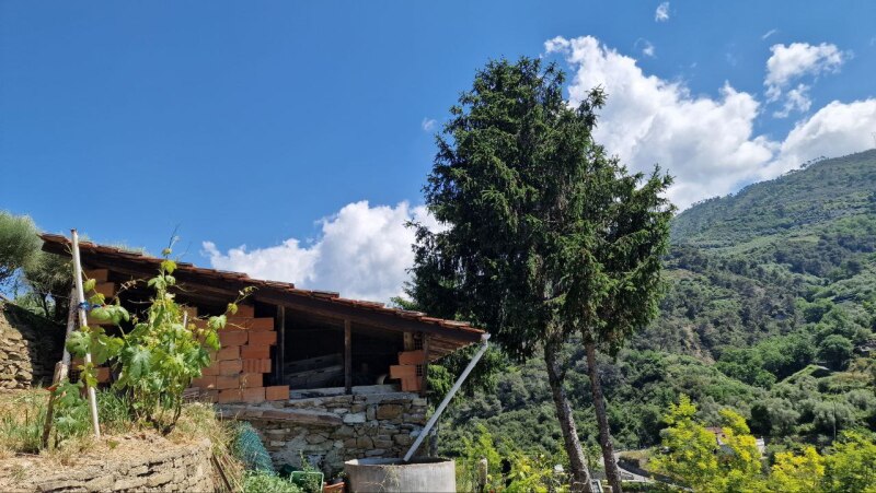 Rustic house with flat land in a dominant position in Soldano – just a few minutes from the sea. 12