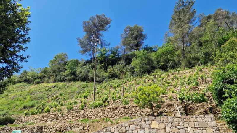 Rustic house with flat land in a dominant position in Soldano – just a few minutes from the sea. 20