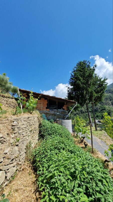 Rustic house with flat land in a dominant position in Soldano – just a few minutes from the sea. 14