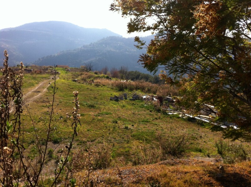 Terreno a Dolceacqua 3