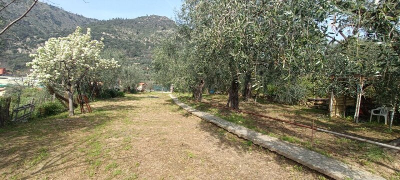 Unifamiliare Casa singola a Ventimiglia 38