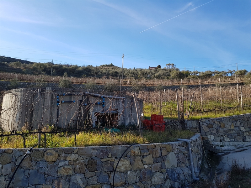 Unifamiliare Casa singola a Perinaldo 10