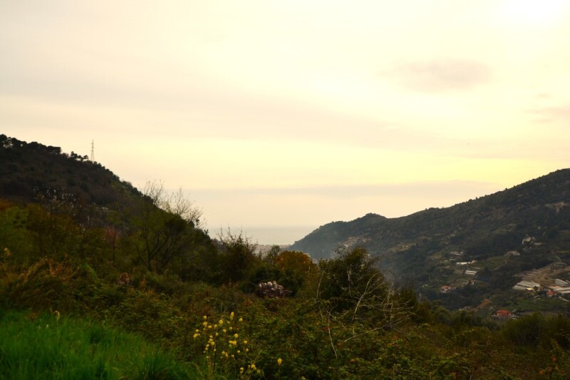 Rustico-Casolare-Cascina a Vallebona 8