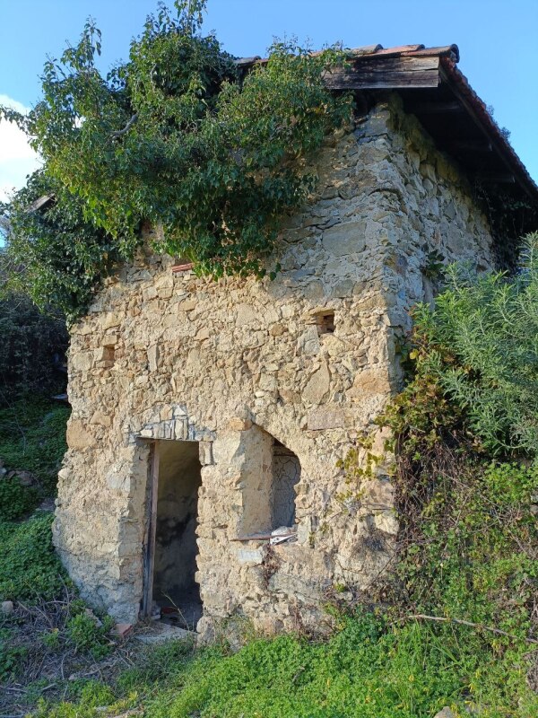 Unifamiliare Casa singola a Vallebona 3