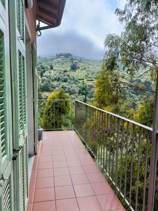 Unifamiliare Casa singola a Vallebona 12