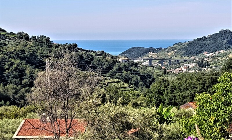 Unifamiliare Casa singola a Vallebona 2