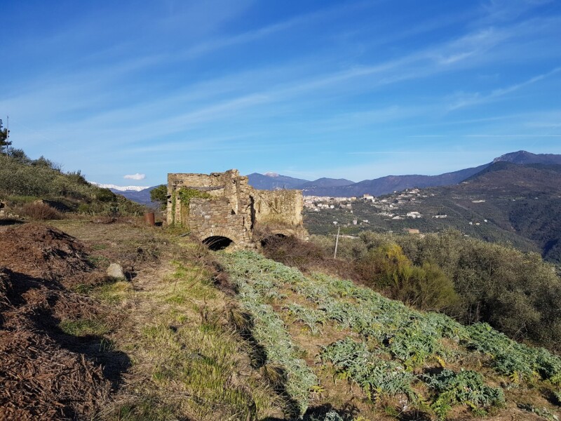 Unifamiliare Casa singola a Perinaldo 12