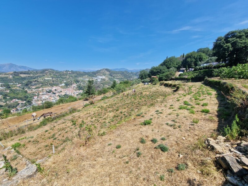Rustico-Casolare-Cascina a Vallebona 22