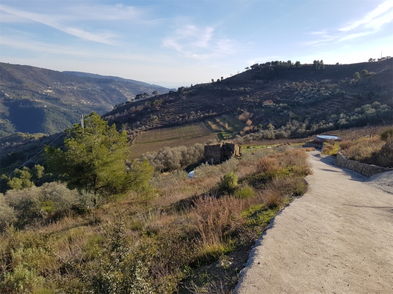 Unifamiliare Casa singola a Perinaldo 15