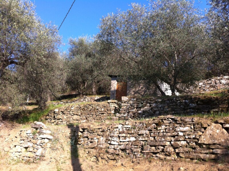 Terreno a Dolceacqua 4