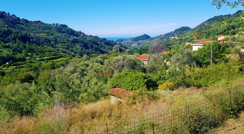 Unifamiliare Casa singola a Vallebona 5