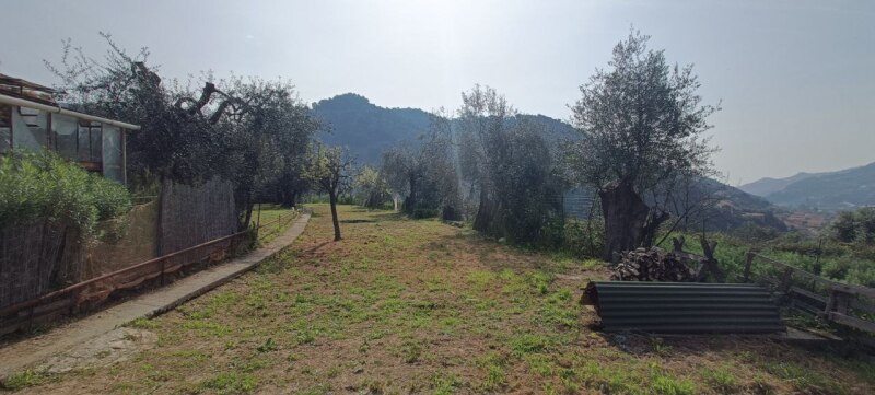 Unifamiliare Casa singola a Ventimiglia 40