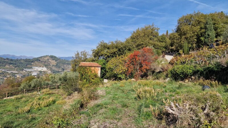 Rustico-Casolare-Cascina a Vallebona 22