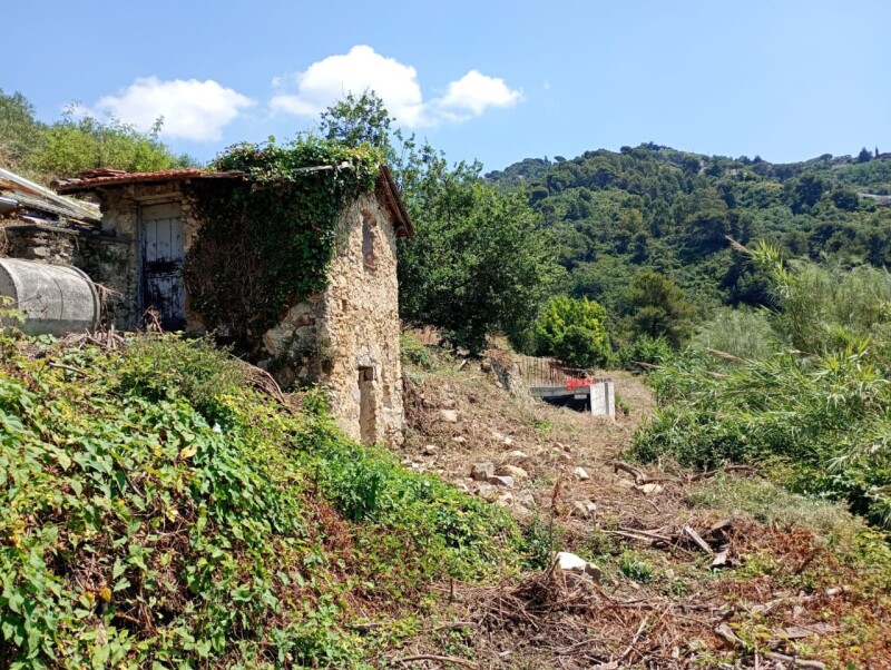 Rustico-Casolare-Cascina a Vallebona 20