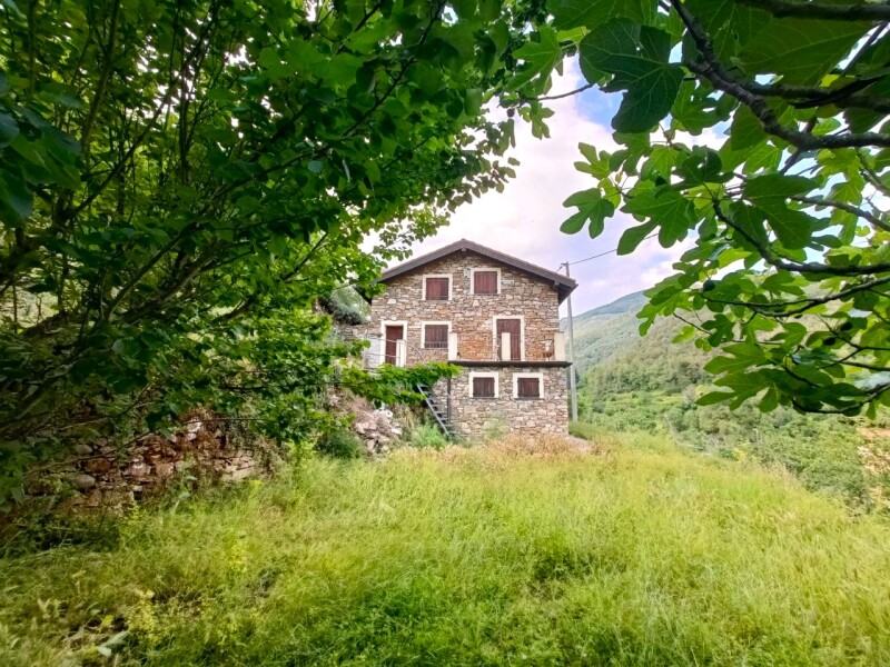 Unifamiliare Casa singola a Isolabona 1