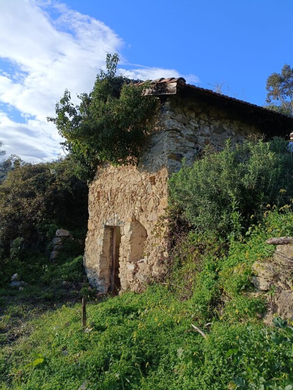 Unifamiliare Casa singola a Vallebona 1