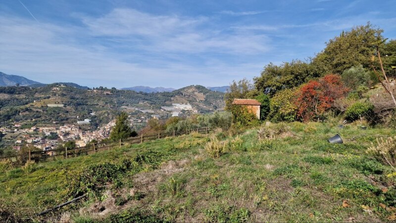 Rustico-Casolare-Cascina a Vallebona 21