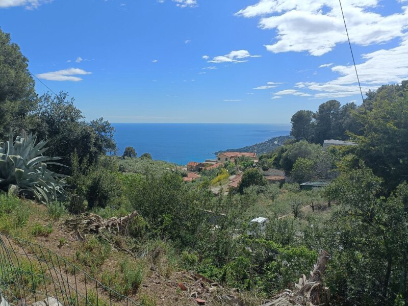 Unifamiliare Villa a Ventimiglia 2