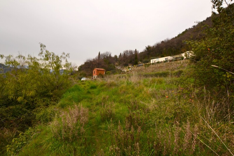 Rustico-Casolare-Cascina a Vallebona 3