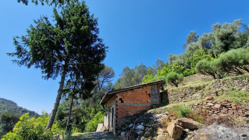 Terreno a Soldano 5