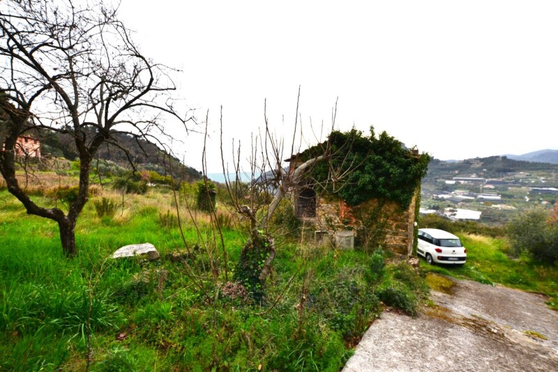 Rustico-Casolare-Cascina a Vallebona 4