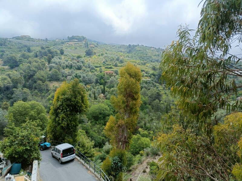 Unifamiliare Casa singola a Vallebona 19