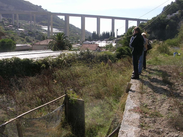 Terreno a Vallecrosia 9