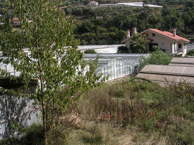 Terreno a Vallecrosia 6