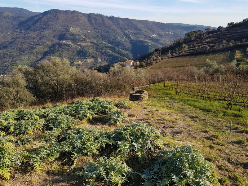 Unifamiliare Casa singola a Perinaldo 13