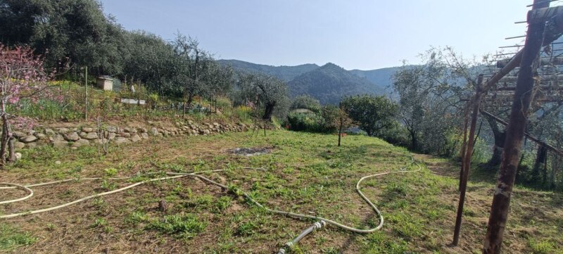 Unifamiliare Casa singola a Ventimiglia 39