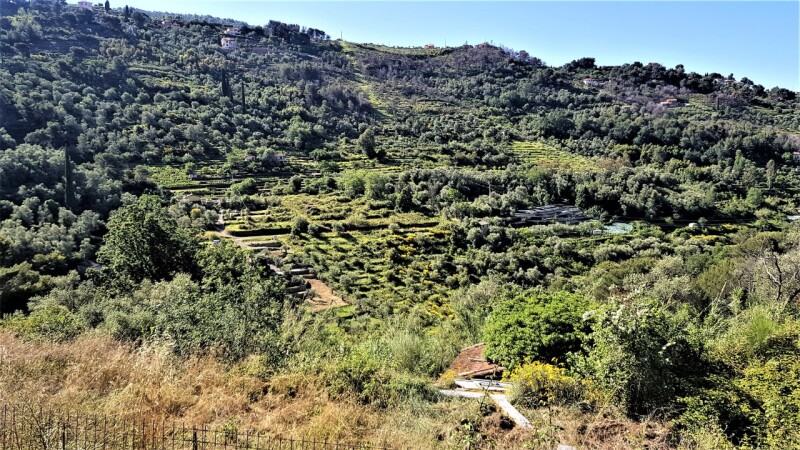 Unifamiliare Casa singola a Vallebona 4