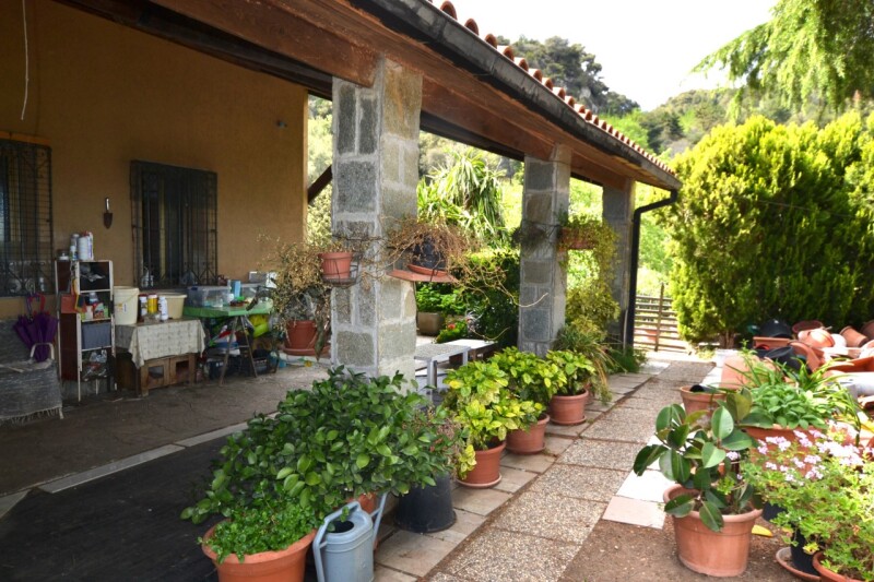 Unifamiliare Villa a Ventimiglia 5