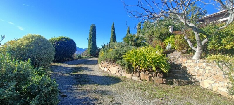 Unifamiliare Casa singola a Dolceacqua 33