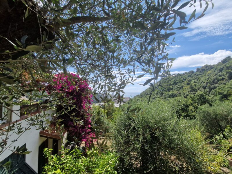 Unifamiliare Casa singola a Camporosso 10