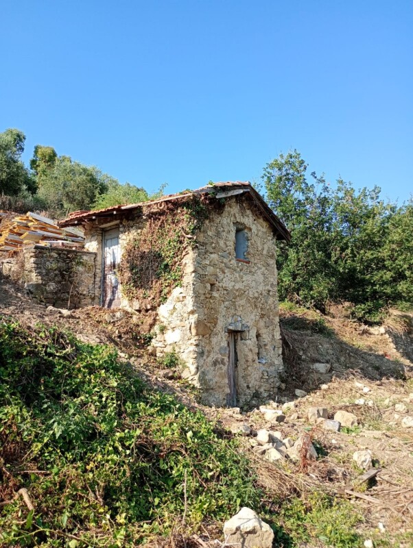 Rustico-Casolare-Cascina a Vallebona 15