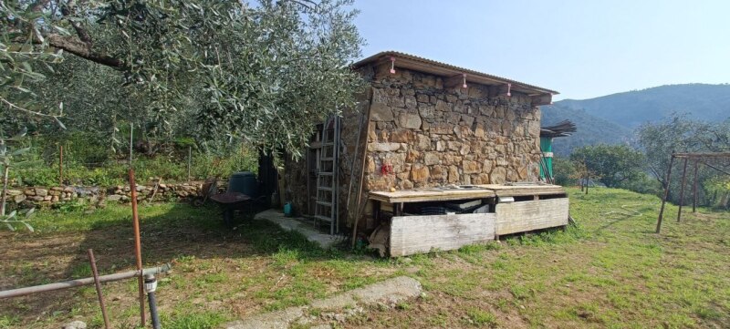 Unifamiliare Casa singola a Ventimiglia 37