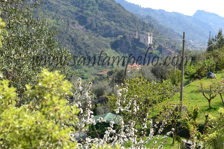 Terreno a Dolceacqua 3