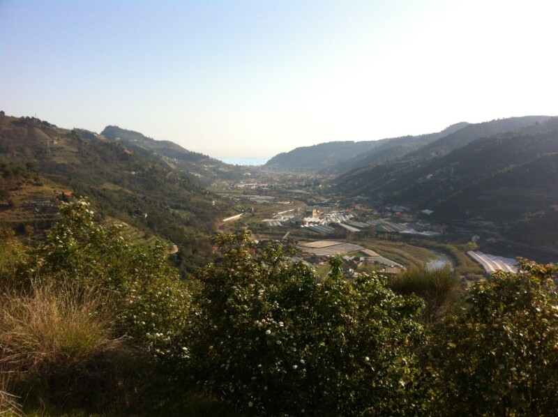 Terreno a Dolceacqua 1